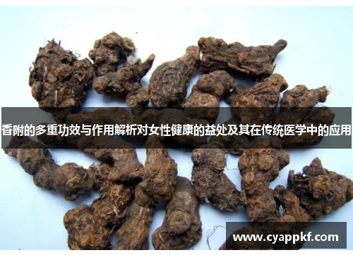 香附的多重功效与作用解析对女性健康的益处及其在传统医学中的应用