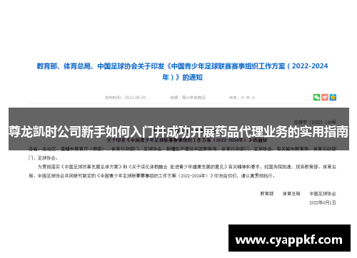 尊龙凯时公司新手如何入门并成功开展药品代理业务的实用指南