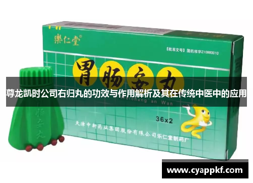 尊龙凯时公司右归丸的功效与作用解析及其在传统中医中的应用