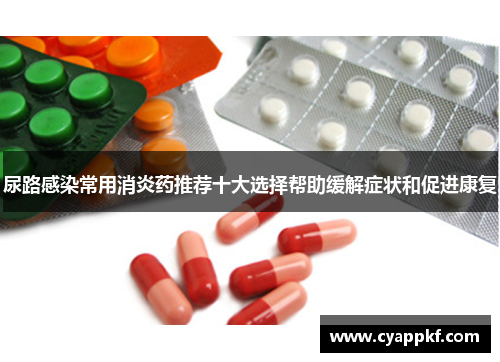 尿路感染常用消炎药推荐十大选择帮助缓解症状和促进康复
